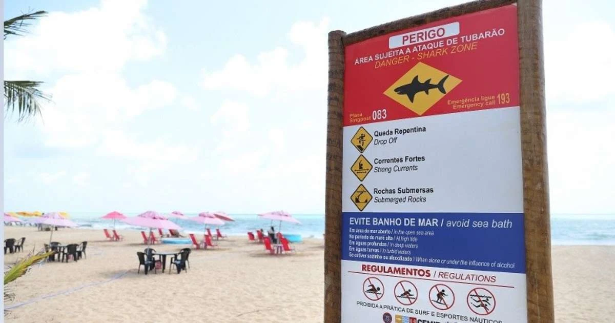 Mulher de 19 anos sofre ataque de tubarão em Boa Viagem, no Recife; jo