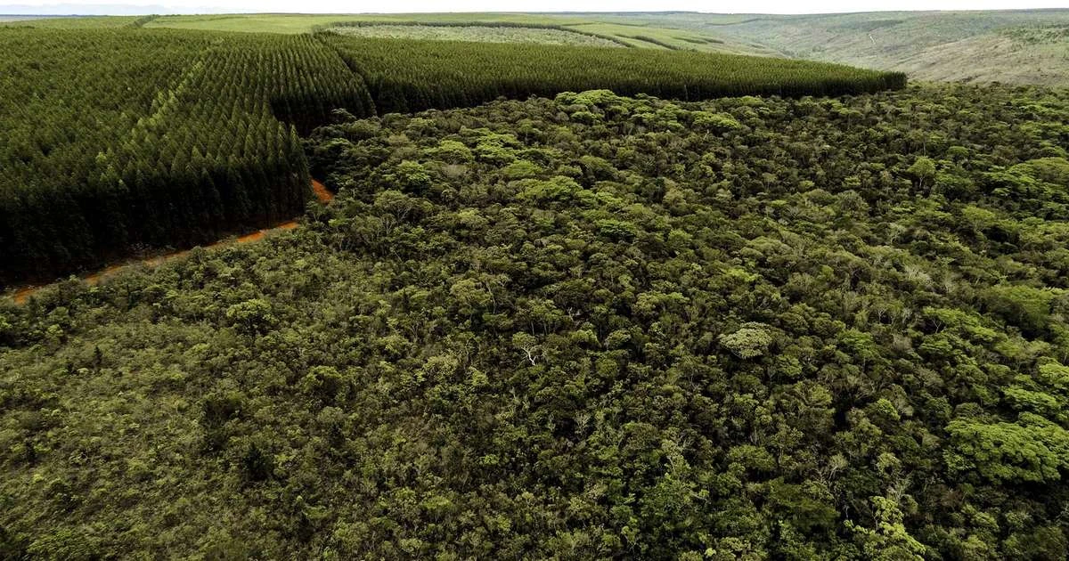 Setores produtivos ampliam ações ambientais em Minas Gerais