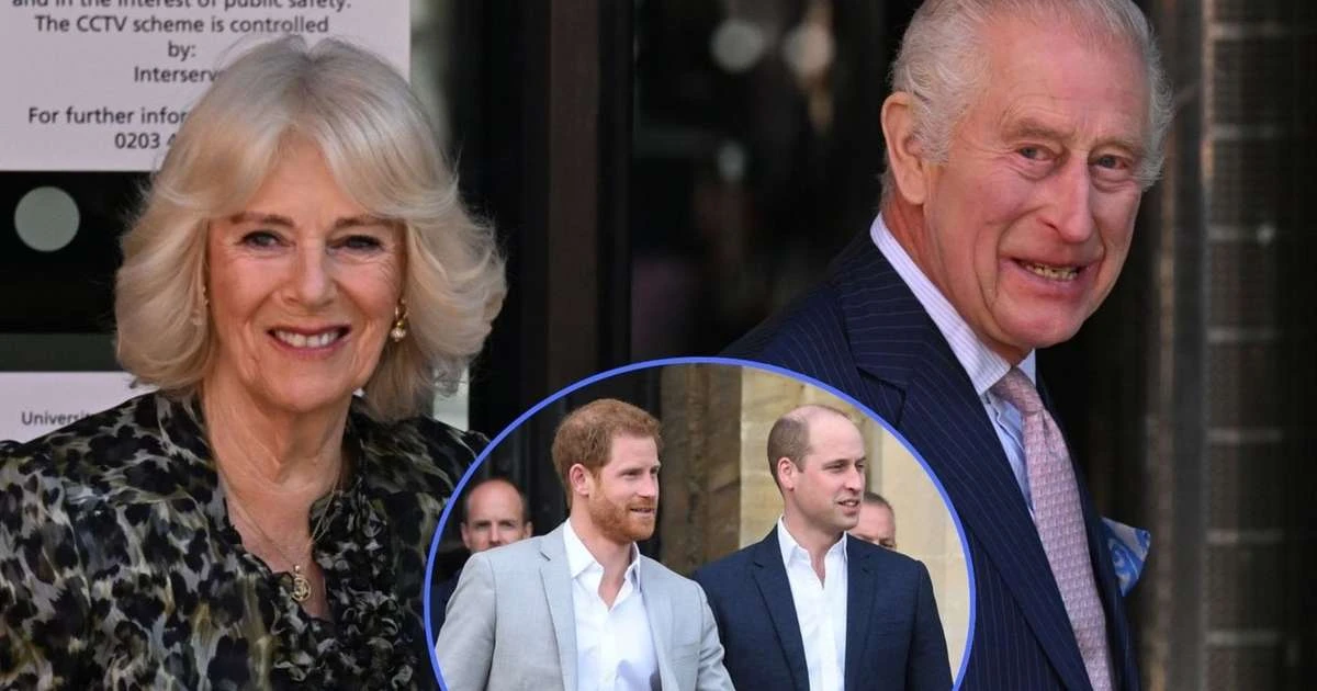 Aqui está o motivo surpreendente pelo qual Príncipe William e o irmão, Harry, 'imploraram' para impedir casamento do pai, Rei Charles III com Camilla