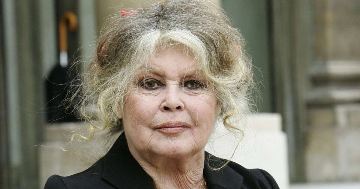 Qual é o estado de saúde de Brigitte Bardot, de 91 anos? Ícone do cinema francês foi operada às pressas: 'Doença grave'