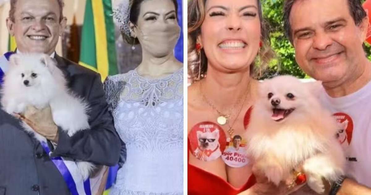 CE: Cachorrinha 'vira a casaca' e influencia em derrota do atual prefeito de Fortaleza