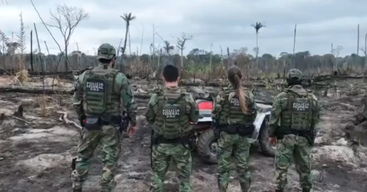 PF apreende R$ 70 milhões de quadrilha responsável por queimadas na Amazônia
