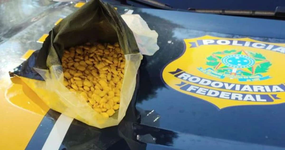 Mulher é presa com quase mil comprimidos de ecstasy em Bento Gonçalves