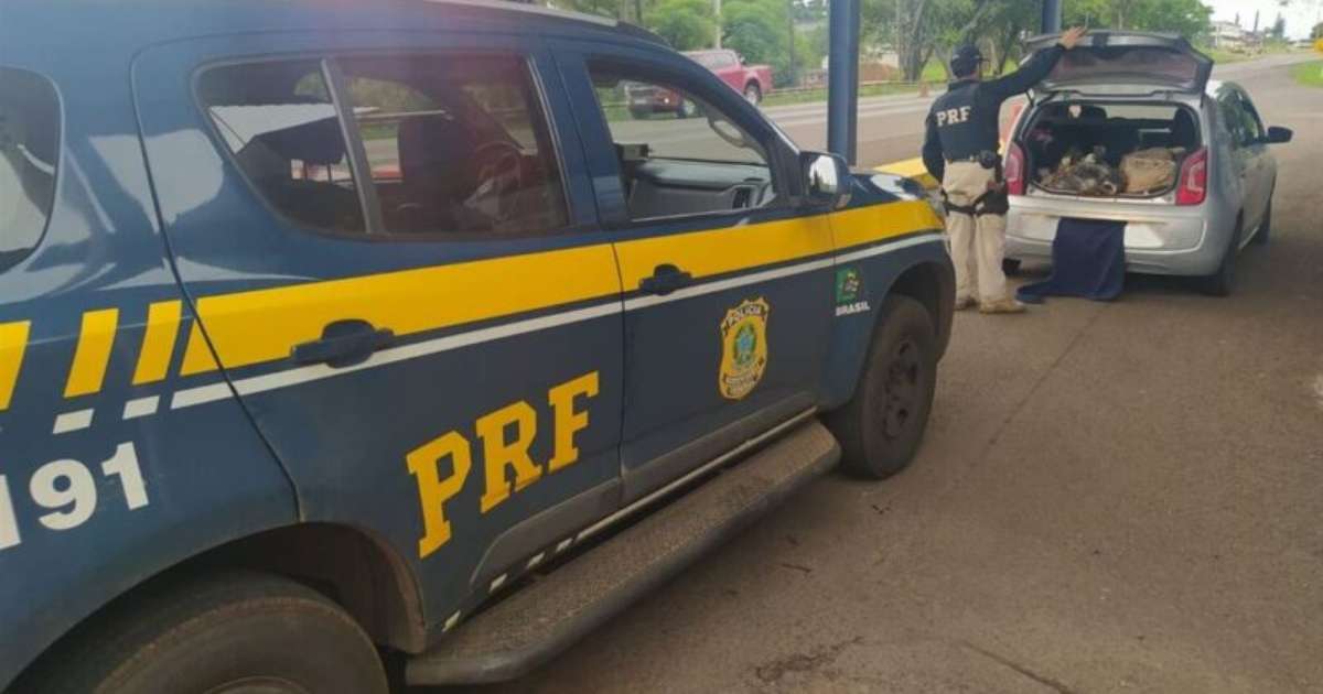 PRF apreende quase 200 kg de maconha na BR-158 e prende dois suspeitos