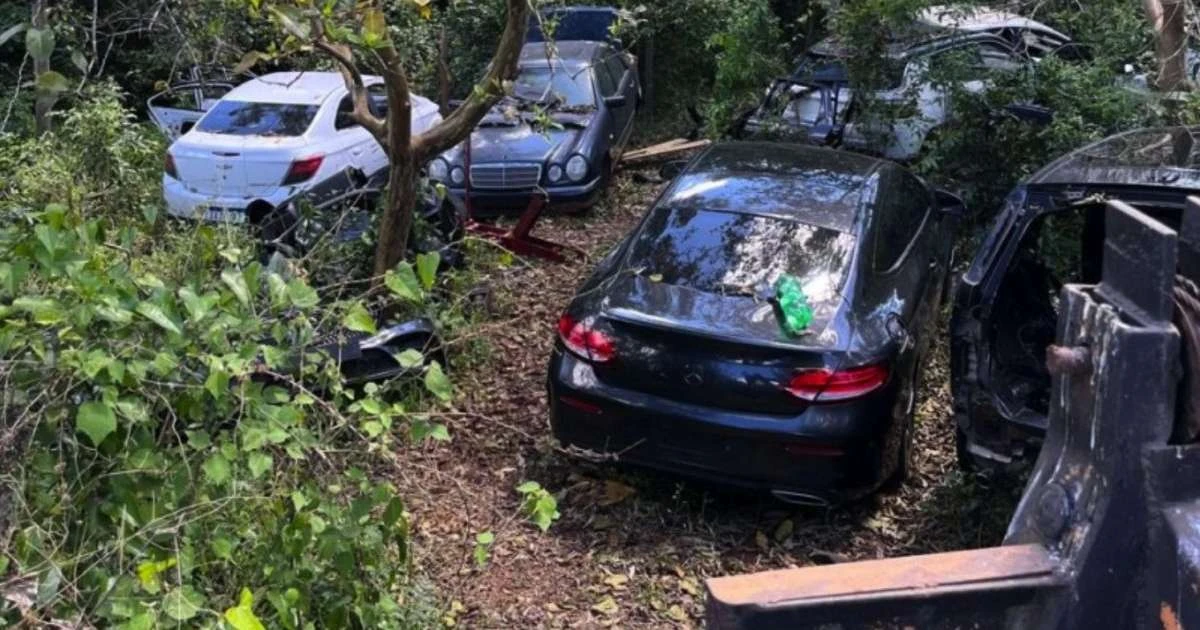 Sítio era usado como depósito de carros roubados; Polícia Civil recupera 10 veículos no RS