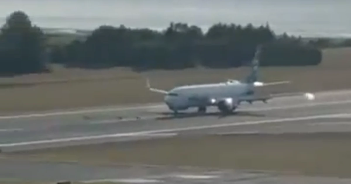 Avião bate em grupo de veados ao pousar e danifica trem de pouso no Alasca