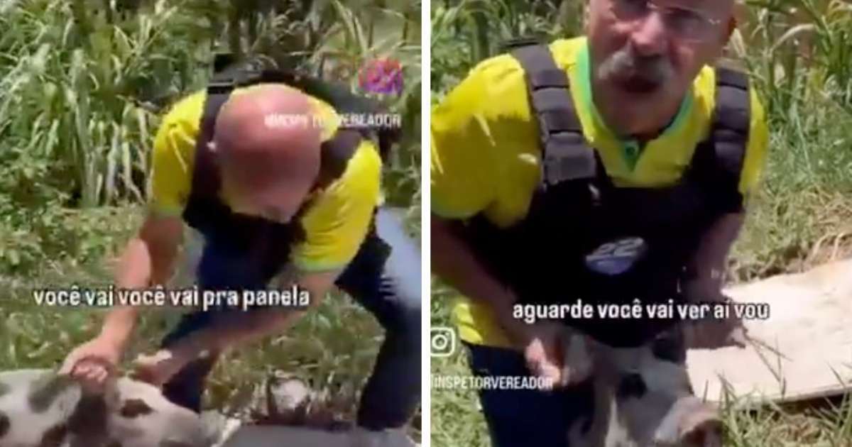 CE: Vereador bolsonarista é investigado por maus-tratos a animal em vídeo com ataque a petista