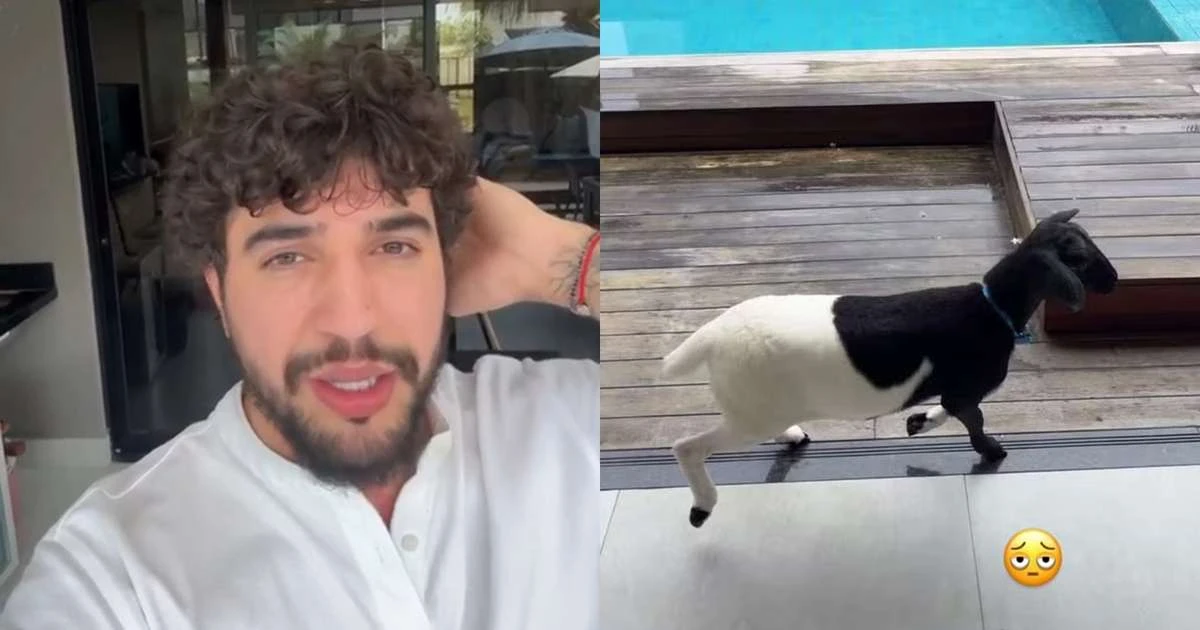 Nattan se desculpa com vizinhos após levar carneiro para casa após show: 'Muito alto'