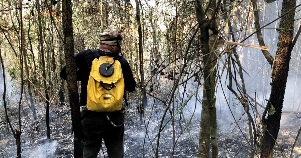 Incêndios florestais: entenda por que SP fechou unidades de conservação para prevenir queimadas