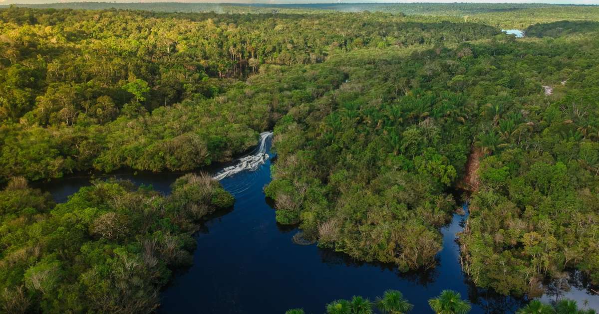 Dia da Amazônia: 9 a cada 10 terras indígenas foram atingidas pela seca