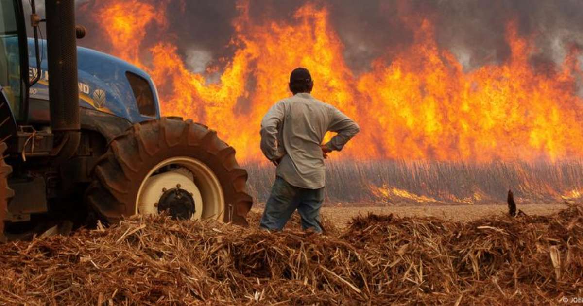 Como mudanças climáticas impulsionam incêndios no Brasil