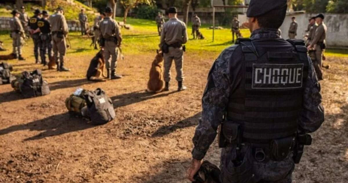 Brigada Militar treina nova geração de duplas táticas policiais com cães no RS
