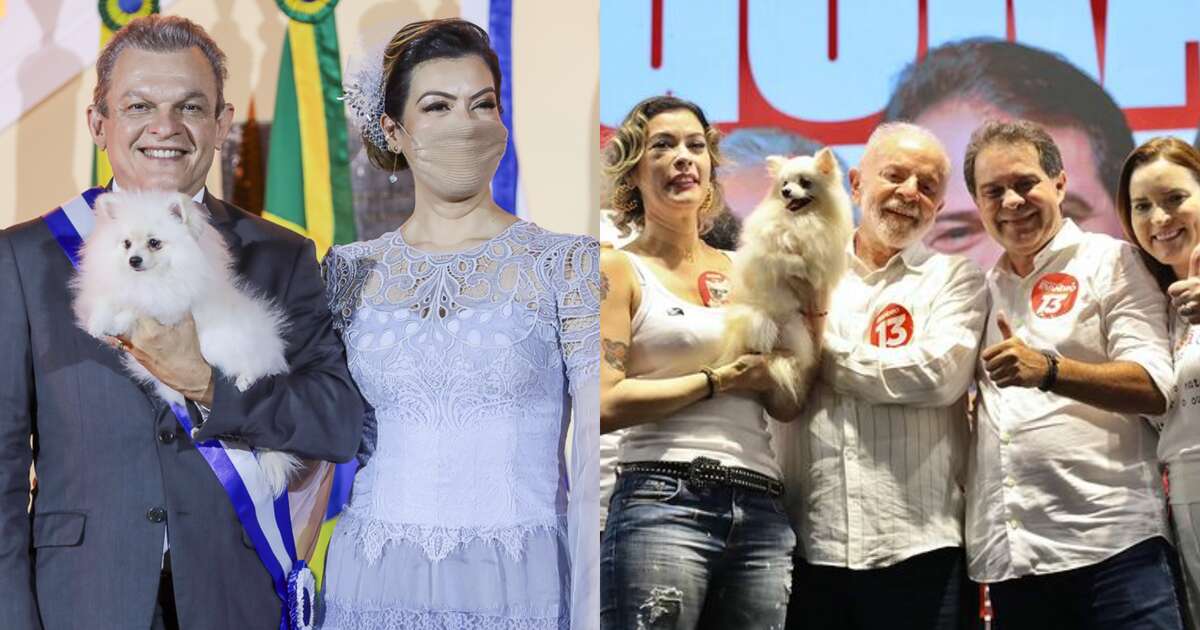 Cadela famosa por apoiar Sarto 'vira casaca' e dá sorte para prefeito eleito em Fortaleza: 'Marrion bota, Marrion tira'