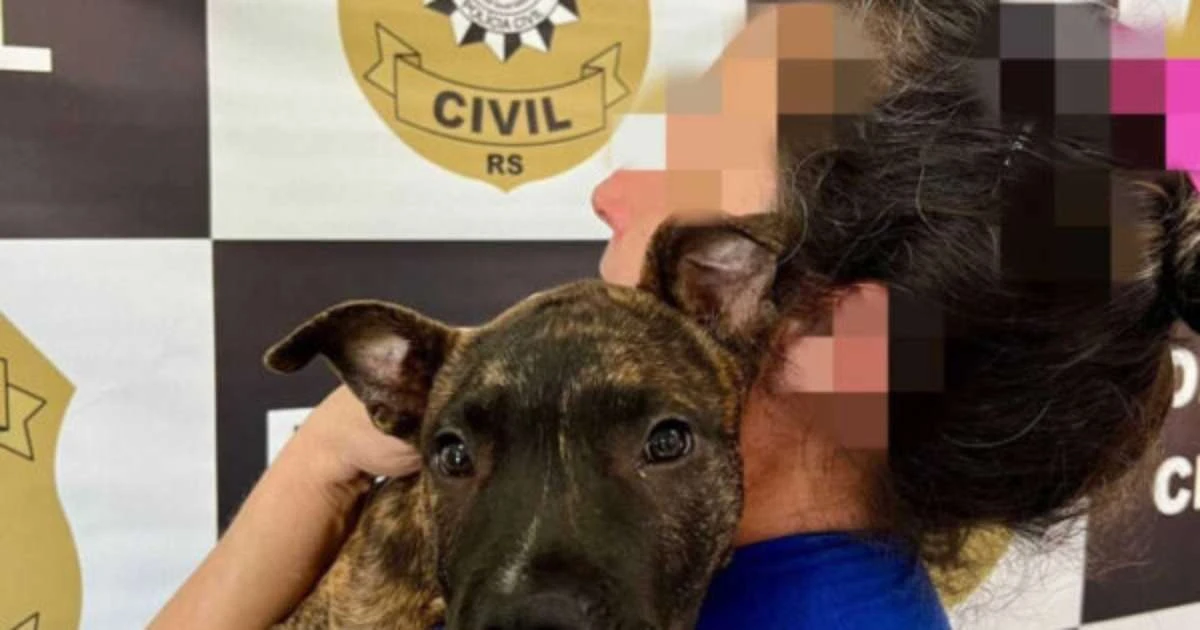 Polícia recupera cachorro Pitbull furtado e o devolve à sua tutora no RS