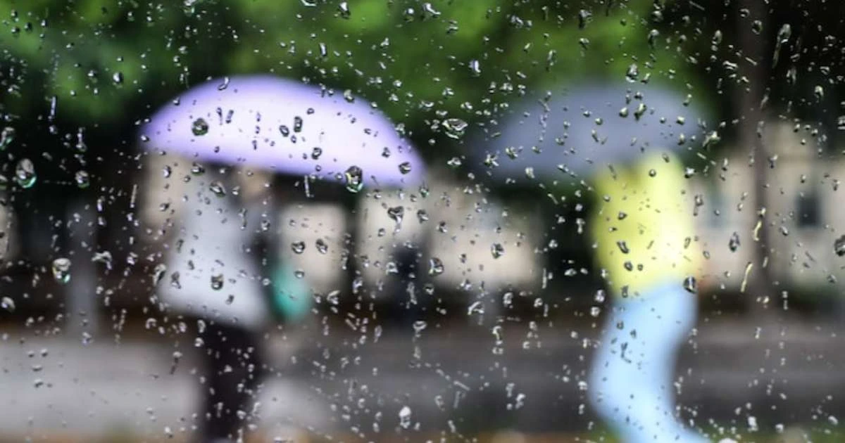 Sábado em SP tem chuva fraca e possibilidade de ventania; saiba previsão