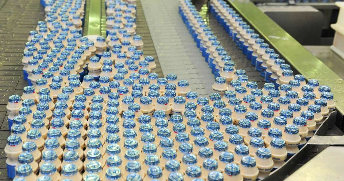 Yakult 40 light completa 10 anos de mercado