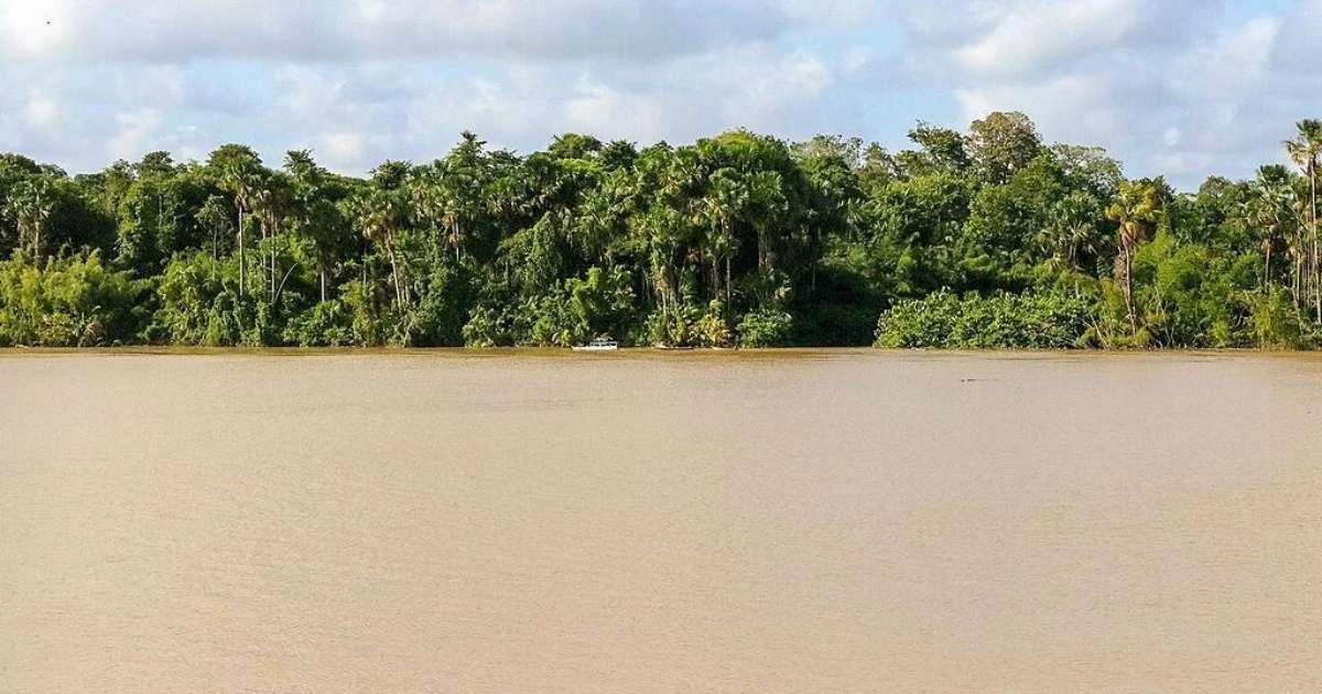 Sede da COP30, Brasil 'sabota' o evento ao apostar em petróleo na Amazônia e põe em risco líderança climática