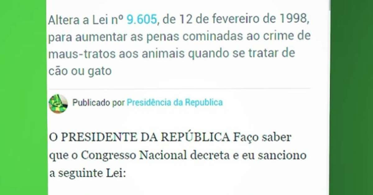 Investigação apura mortes de cães por envenenamento em Caçapava do Sul