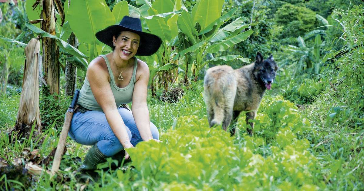 Paula Santos foca na produção de alimentos livres de químicos: 'Sigo firme'