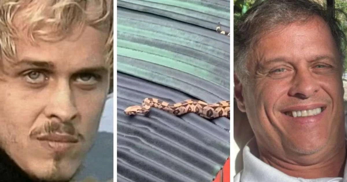 Guilherme Fontes, de 'A Viagem', vive há 30 anos em casa na floresta: 'Só eu e os bichos'