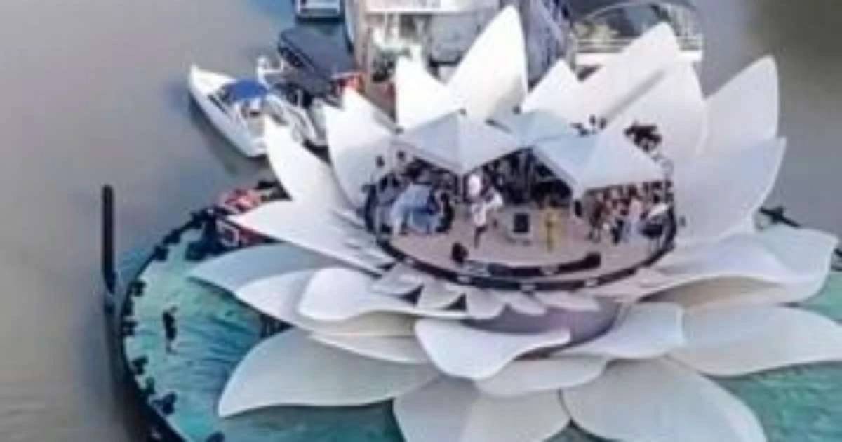 Deputada critica show de Mariah Carey em Belém: 'Estamos pagando por esse palco de R$ 30 milhões'