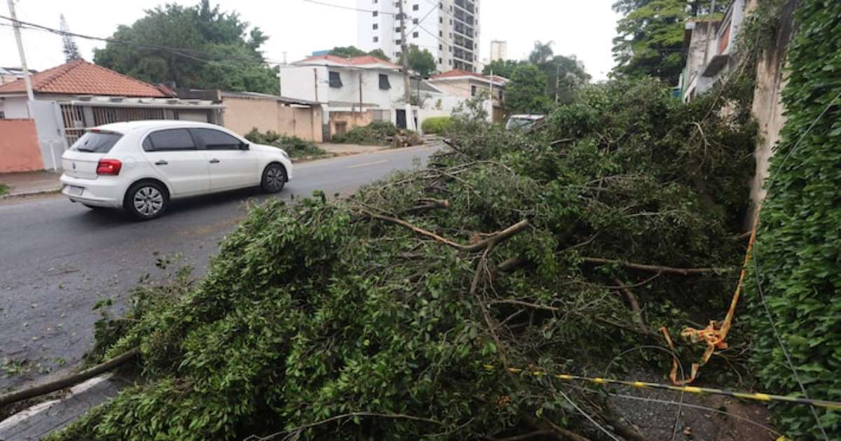 Temporais devem atingir SP nos próximos dias; veja previsão completa