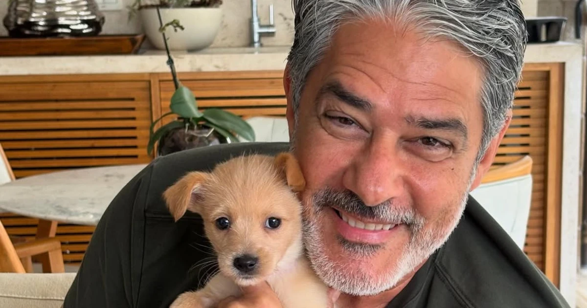 William Bonner posa com o cachorro da filha, Bruce William, e web brinca: 'Nome vai dar confusão'