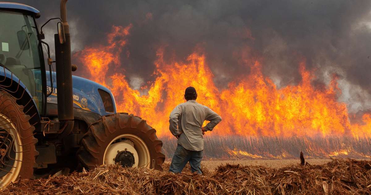 Saiba quem são os presos suspeitos de envolvimento em incêndios no interior de SP