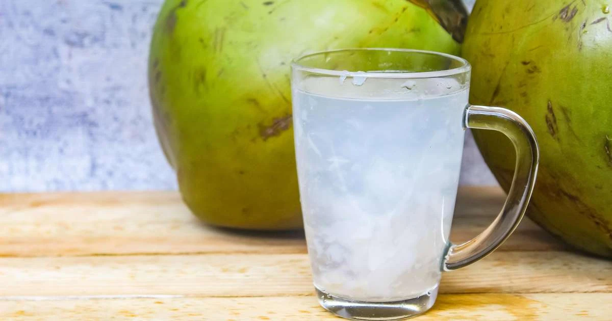 Água de coco ganha espaço no consumo saudável no Brasil