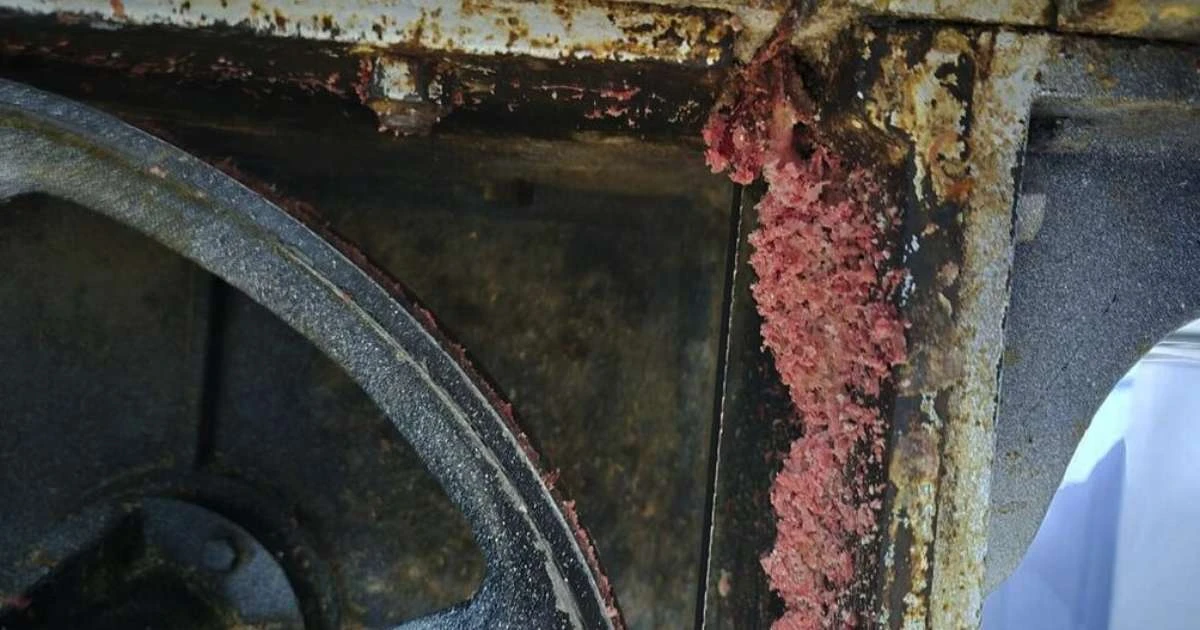 Restaurante é fechado e 1,5 tonelada de alimentos irregulares são apreendidos no RS