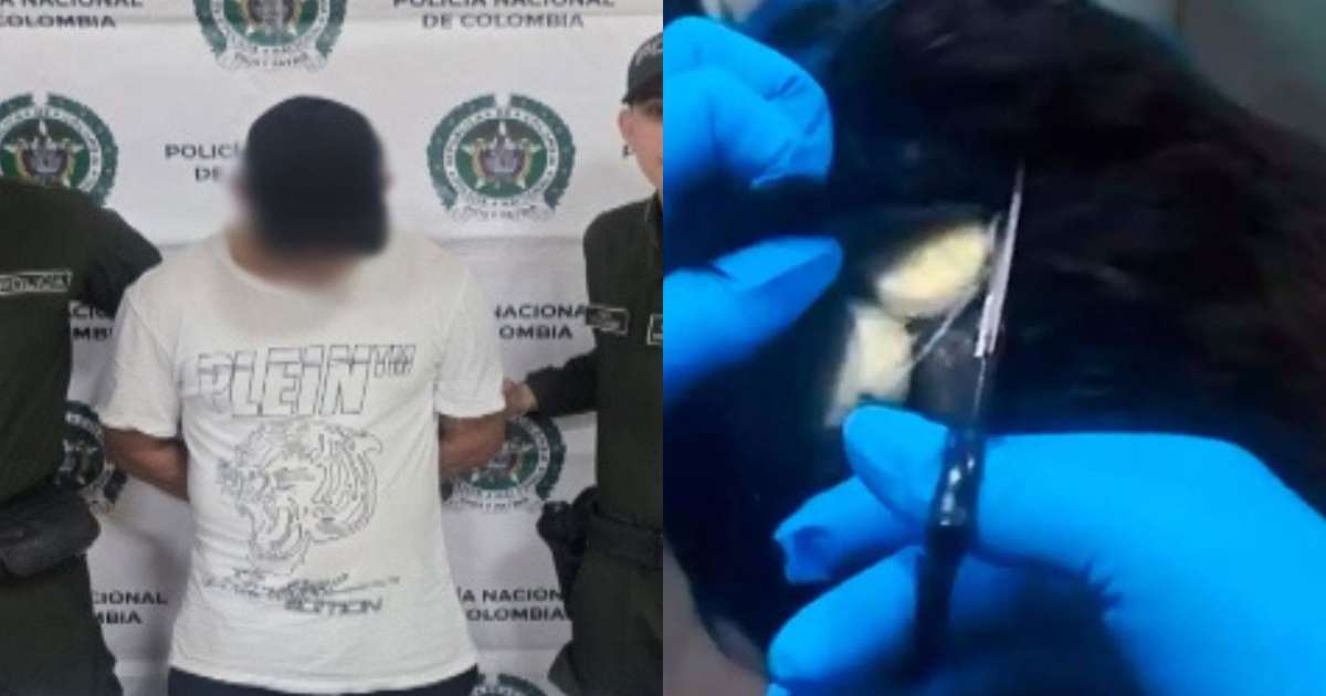 Polícia flagra homem tentando transportar droga dentro de peruca em aeroporto; assista