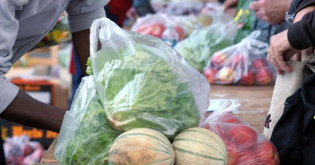 ONU vai retomar negociações sobre poluição de plásticos em meio a desafios para países em desenvolvimento