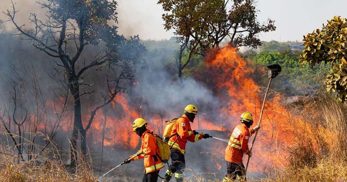 Congresso Nacional debaterá MP para flexibilizar repasses no combate a incêndios