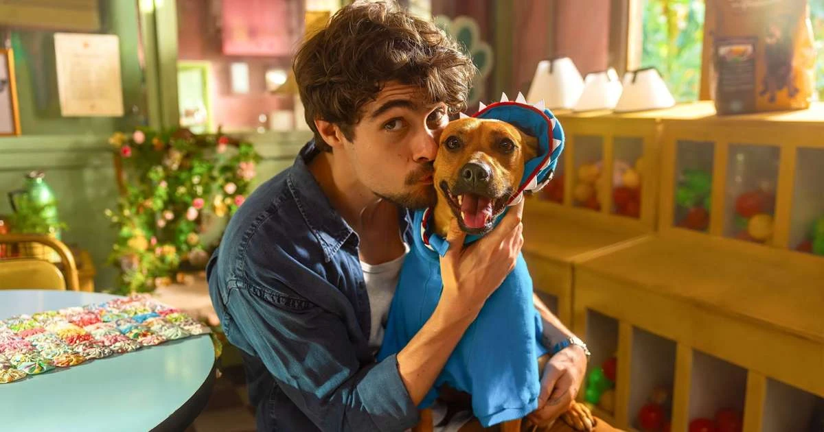 Quando estreia 'Caramelo', filme com vira-lata símbolo do Brasil, no streaming?