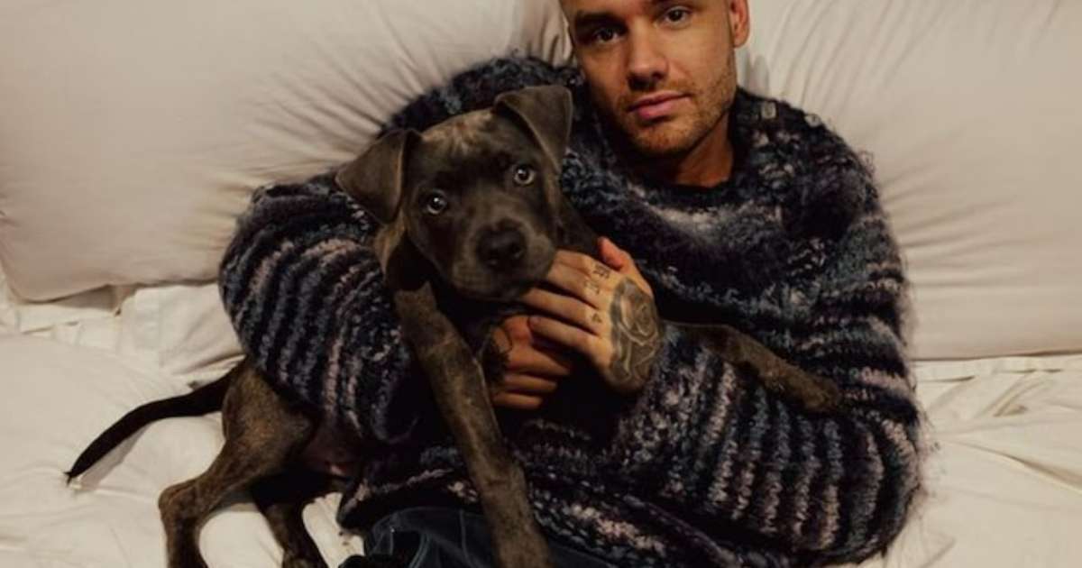 Amigo investigado após morte de Liam Payne se pronuncia pela primeira vez: 'Nunca abandonei'