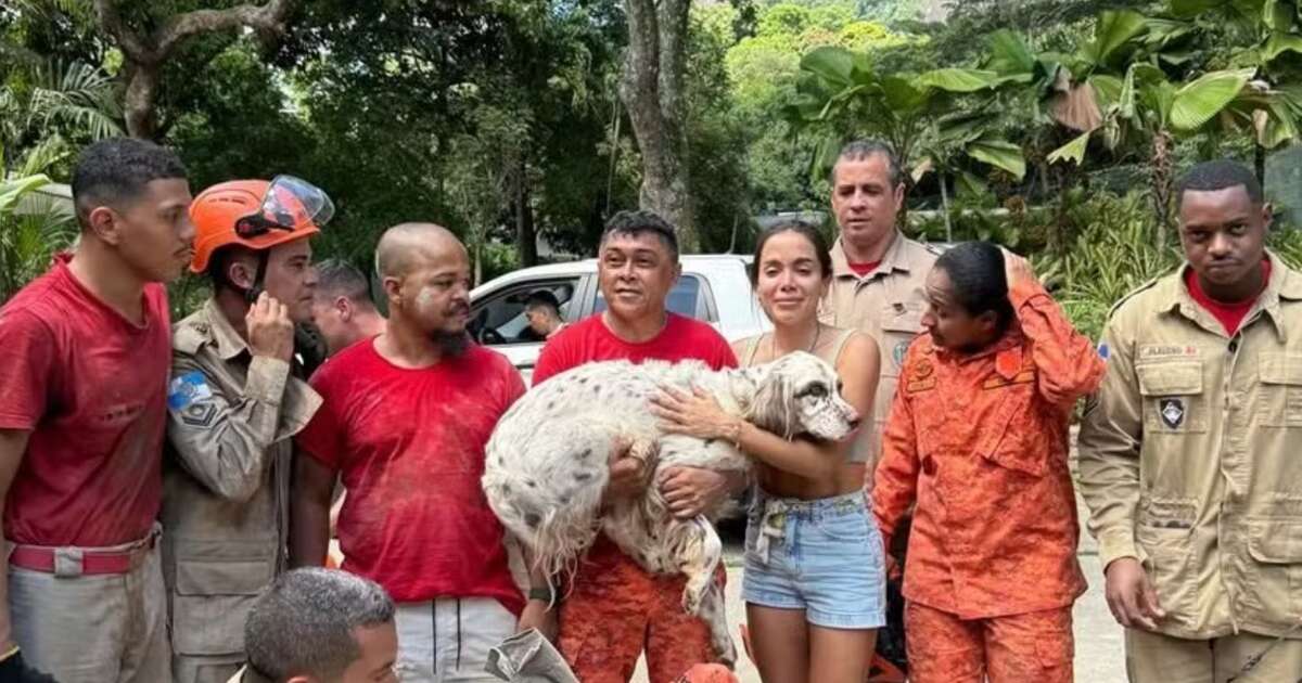 Anitta chora ao reencontrar cachorro que sumiu no Natal; pet se escondeu embaixo da nova mansão por medo dos fogos