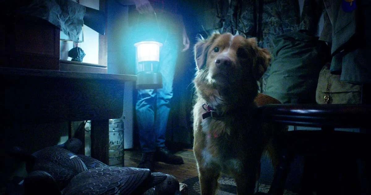 O terror que fez as buscas por 'o cachorro morre no final?' crescerem 2000%