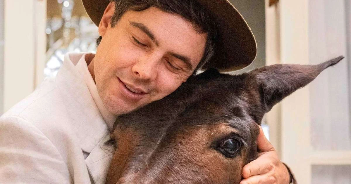 Do macaco pintor ao burro fofoqueiro: 6 amigos mais improváveis (e divertidos) das novelas brasileiras que valem mais do que muitos humanos