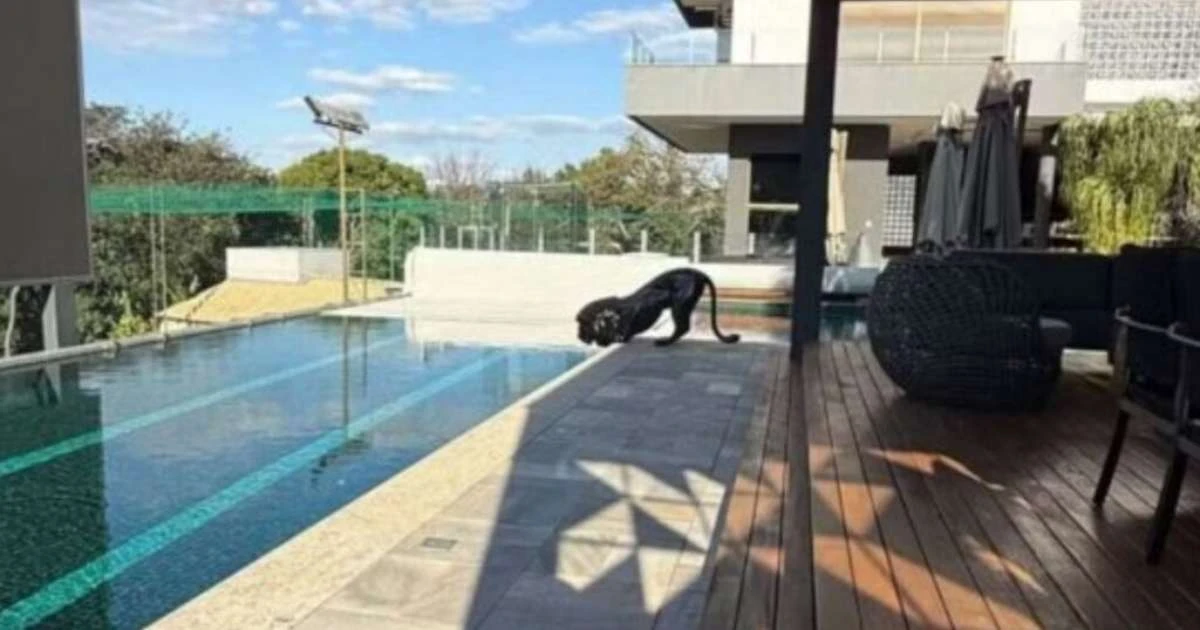6 milhões: filho de Hulk, do Atlético-MG, exibe detalhes da mansão do pai