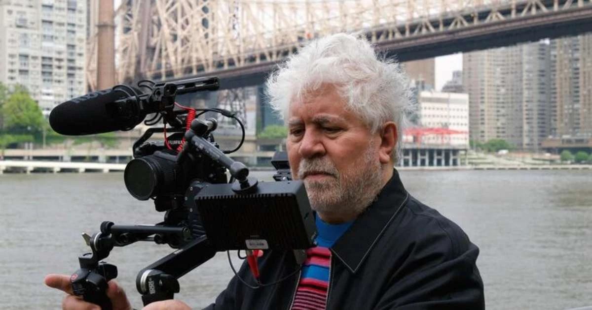 Pedro Almodóvar elege os 10 melhores filmes do século 21; veja lista e onde assistir