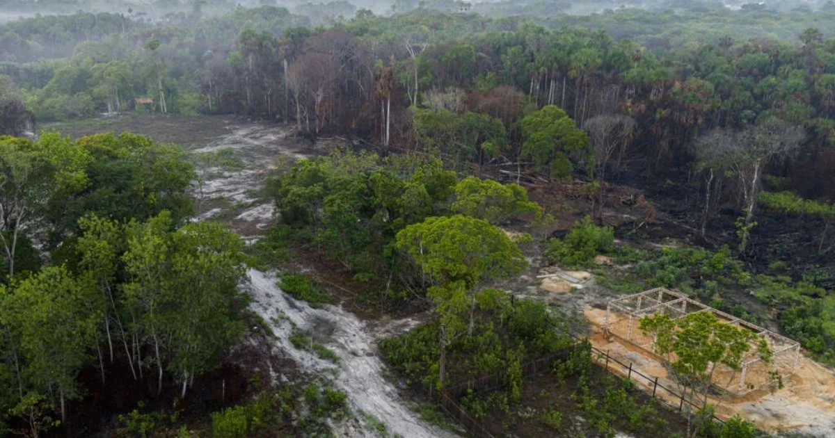 Incêndios na Amazônia comprometem qualidade do ar em outros países, aponta relatório