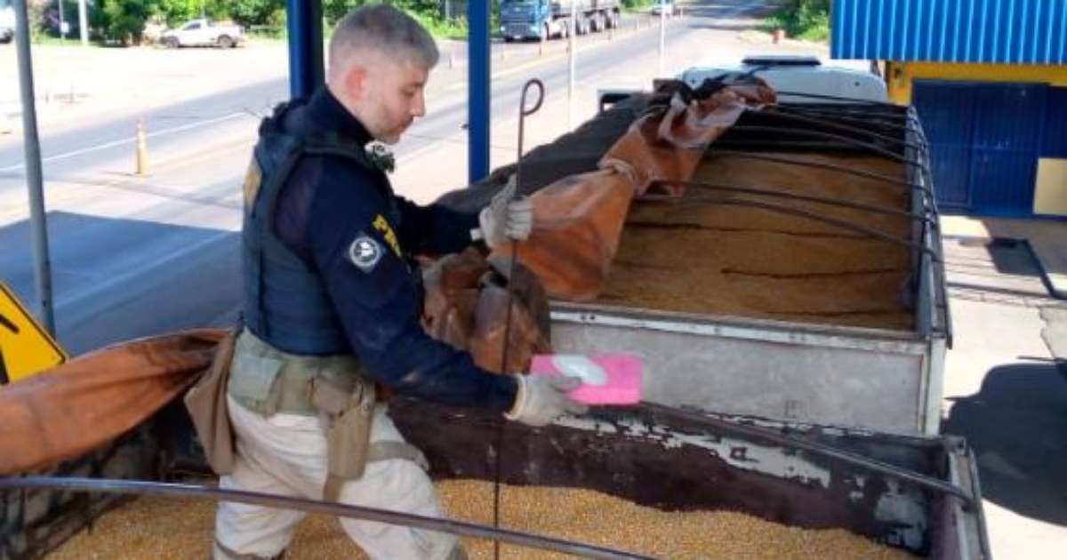 Motorista de carreta é preso com mais de 100 quilos de cocaína e munições de fuzil