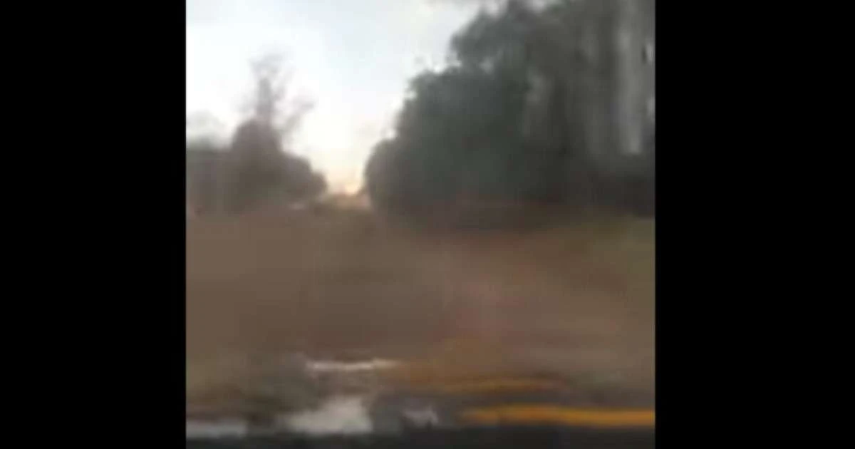 Vídeo: foragido por tráfico é capturado após perseguição policial em Sapucaia do Sul