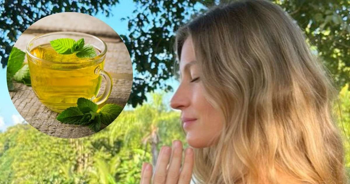 Uma xícara por dia alivia gases, inchaço e acalma: chá queridinho de Gisele Bündchen é fácil de fazer e tem inúmeros benefícios para a saúde