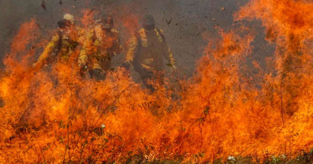 Parque da Cantareira é fechado por causa de incêndio; total de unidades chega a 81