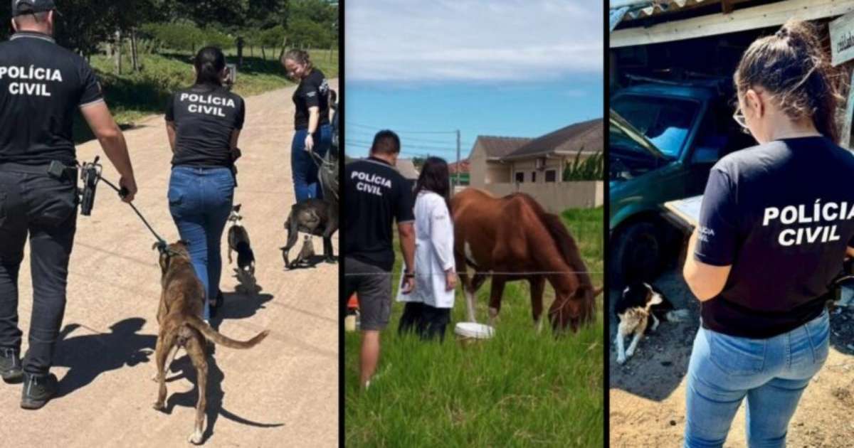 Operação 'É o Bicho!' resgata animais e realiza prisão no Litoral Gaúcho