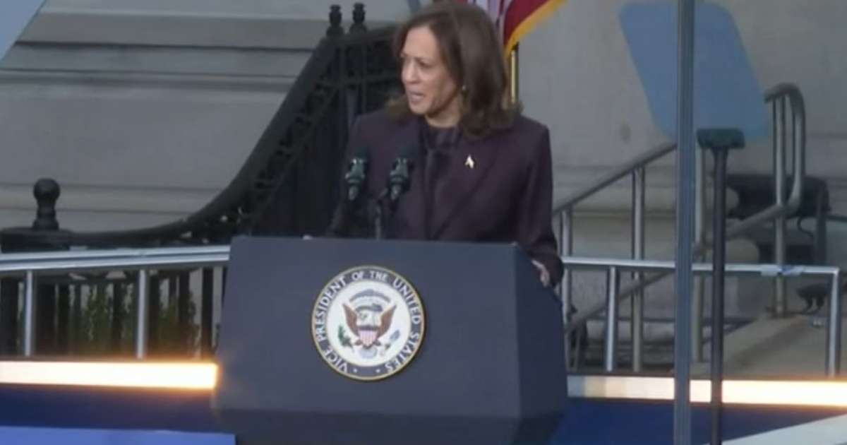 Kamala Harris reconhece derrota em discurso e conforta eleitores: 'Não se desesperem, é hora de arregaçar as mangas'