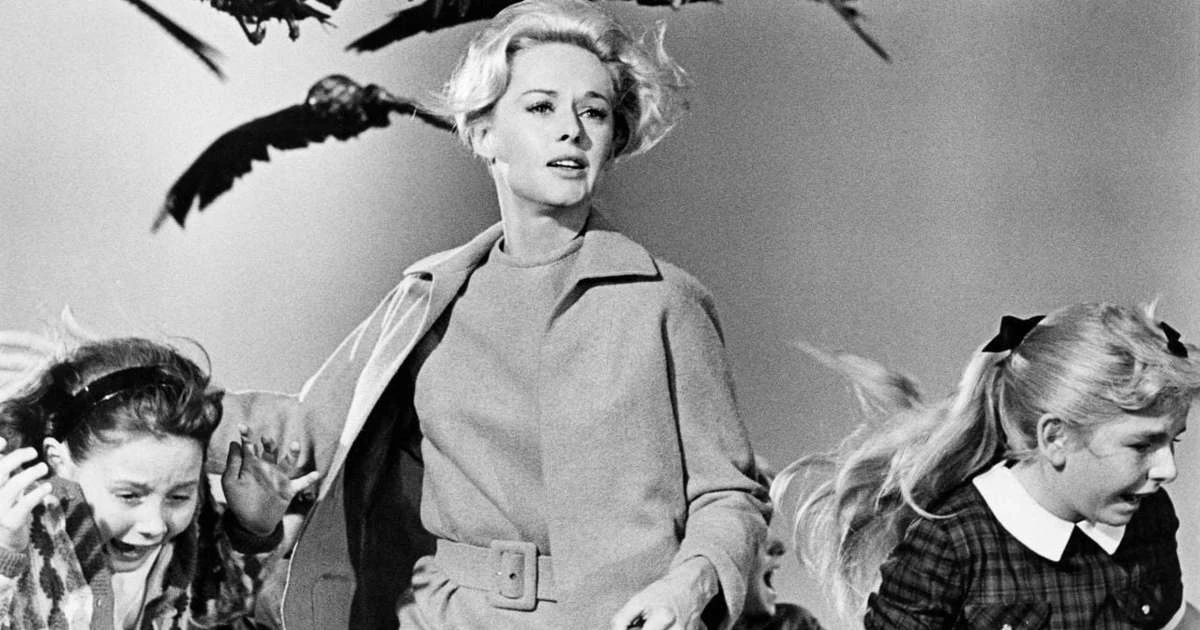 Terror por trás e na frente das câmeras: Pesadelo real vivido por Tippi Hedren nos bastidores do clássico Os Pássaros ganha detalhes inéditos com nova biografia do mestre do horror Alfred Hitchcock