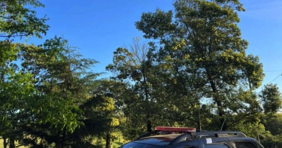 Polícia desarticula grupo criminoso que atacava assentamentos rurais na Região da Campanha