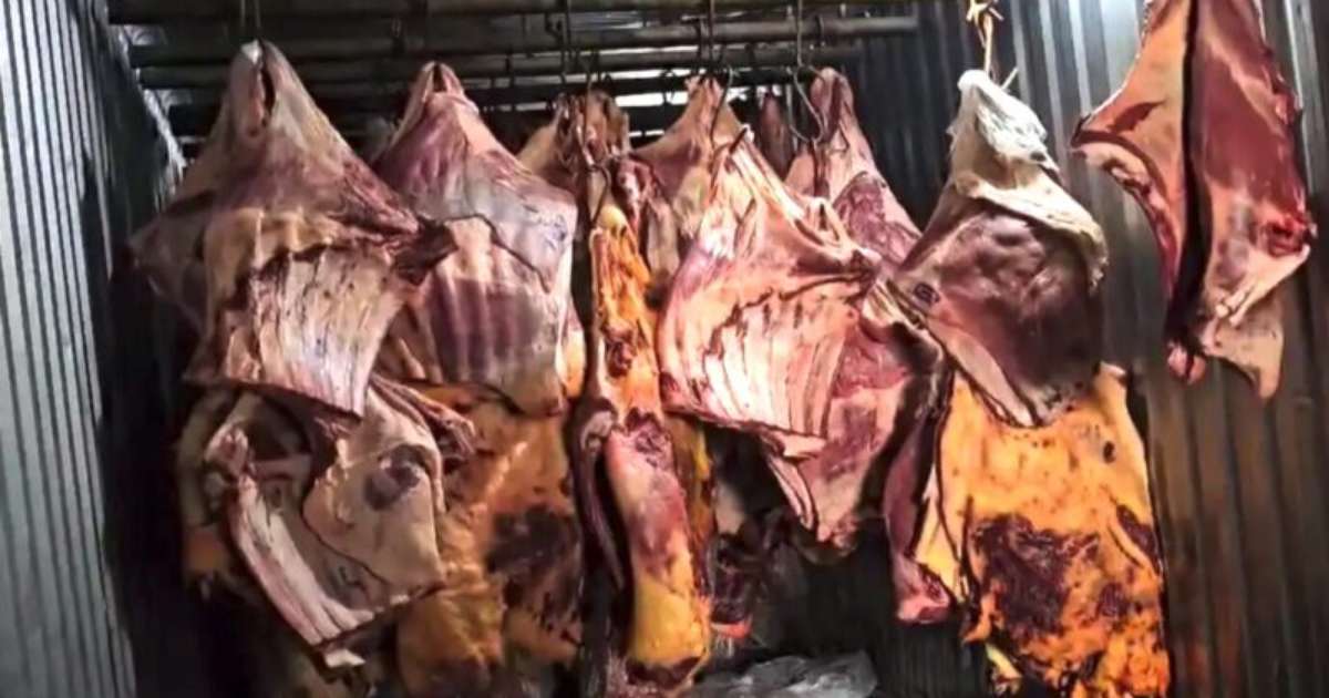 Lucro milionário: Empresa revendia carne estragada que ficou submersa durante enchente no RS